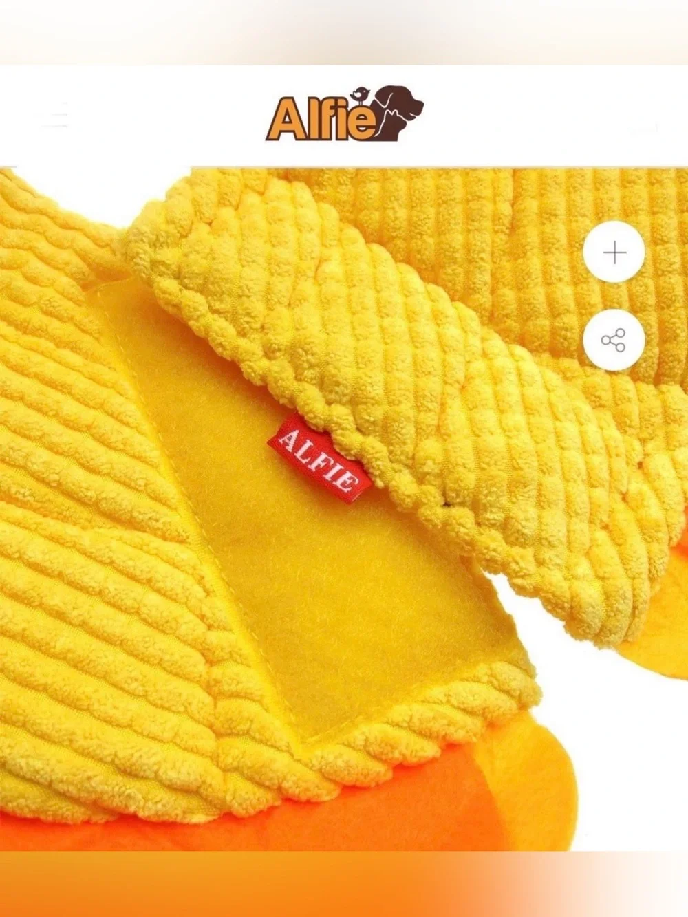 Alfie m2668 can